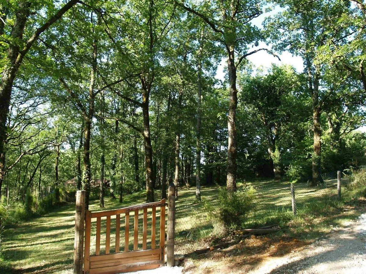 Holiday Home Le Noisetier By Interhome Loupiac  France